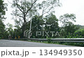 three young asian female cycling athletes training outdoors on rural road 134949350