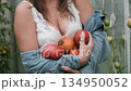 A seductive girl collects organic tomatoes in a greenhouse in the village, is engaged in farming. 134950052