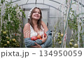 A seductive girl collects organic tomatoes in a greenhouse in the village, is engaged in farming. 134950059