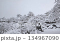 Gujo Hachiman Castle in the snow 134967090