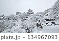 Gujo Hachiman Castle in the snow 134967093