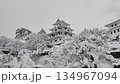 Gujo Hachiman Castle in the snow 134967094
