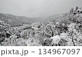 Gujo Hachiman Castle in the snow 134967097