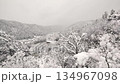 Gujo Hachiman Castle in the snow 134967098