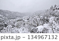 Gujo Hachiman Castle in the snow 134967132