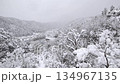 Gujo Hachiman Castle in the snow 134967135