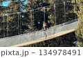 A tourist walks along a long suspension rope bridge surrounded by tall green spruce trees 134978491