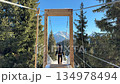 Individual traverses a wooden suspension bridge surrounded by tall evergreen trees, leading towards a snow-capped mountain peak in the distance, showcasing the journey's progression 134978494