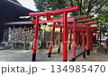 A scene of rows of torii gates and the approach to a shrine | A video symbolizing Japanese shrines and traditional culture 134985470