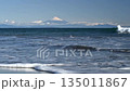 Mount Fuji and waves from Suruga Bay 135011867