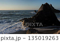 伊良湖岬　堀切町海岸の岩礁に打ち寄せる荒波と光る海 135019263
