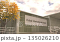 Dubai International Airport sign on terminal building with autumn tree and airplane, Dubai, United Arab Emirates 135026210