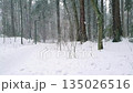 Desolate wintertime landscape with empty snowbound trail among snow covered fir trees and bare deciduous trees in snowy forest or park at winter day with heavy snowfall. No people natural background. 135026516