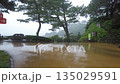 Katsurahama Kochi Prefecture 135029591