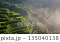Landscape of rice terraces shrouded in mist 135040138