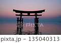 Torii gate standing in the sea at dusk 135040313