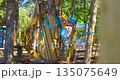 Child Navigating Ropes Course in Outdoor Adventure Park 135075649
