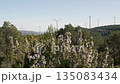 Windmills on a blue sky background	 135083434