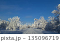 A snow-covered rural road. A snow-white landscape and frost-covered trees along the road. Frost-coated trees frame a serene, snow-covered road winding through the countryside. 135096719