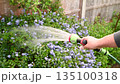 Male hand with hose and water jet watering the garden 135100318
