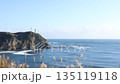 千葉県　勝浦市　青空と海　そして勝浦灯台 135119118