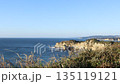千葉県　勝浦　青空と海 135119121