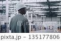 Professional Engineer Walks at Head of Vast, Clean Automated Plant, Wearing Hard Hat 135177806
