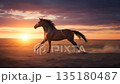 夕日を背に駆ける茶色の馬　疾走感　自然　実写風AI動画 135180487