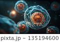 顕微鏡で捉えた細胞分裂と生命誕生の瞬間 135194600