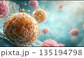 顕微鏡下で増殖するがん細胞のリアル映像 135194798