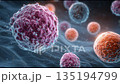 顕微鏡下で増殖するがん細胞のリアル映像 135194799