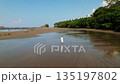 Young woman walks across reflective wet sand on a sunny Costa Rica beach at low tide 135197802