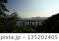Kamakura: View of the windy coast from the Gionyama Observation Deck on the Gionyama hiking trail 135202405