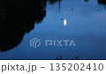 Autumn night: The moonlight is reflected in the pond, distorting its shape. 135202410