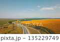 An aerial view shows vibrant sunflowers and beautiful roadside fields in Russias landscapes 135229749