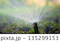 Automatic irrigation system with water sprinkler for maintaining grass lawn. 135299153
