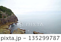Columnar joints at Tategasaki, Kumano City, Mie Prefecture 135299787