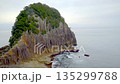 Columnar joints at Tategasaki, Kumano City, Mie Prefecture 135299788