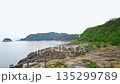 Columnar joints at Tategasaki, Kumano City, Mie Prefecture 135299789