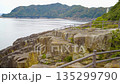 Columnar joints at Tategasaki, Kumano City, Mie Prefecture 135299790