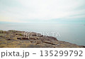 Columnar joints at Tategasaki, Kumano City, Mie Prefecture 135299792