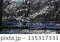冬の千歳川 135317331