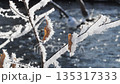 霧氷 135317333