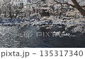 冬の千歳川 135317340