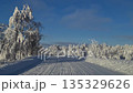 A snow-covered rural road. A snow-white landscape and frost-covered trees along the road. A snowy rural road stretches ahead, bordered by icy trees shining in cold light. 135329626