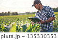 Farmer Recording Crop Data in Sunlit Cornfield 135330353