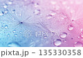 Dandelion Seeds with Water Droplets in Pastel Gradient 135330358