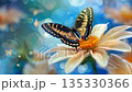 Butterfly Feeding on Flower with Vibrant Bokeh Background 135330366