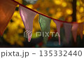 Autumn Celebration Flags on a Sunny October Day 135332440