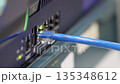 blue Ethernet cable connected to a gigabit network switch, showing active link lights for data transfer and internet networking technology 135348612
